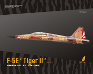 Northrop F-5E Tiger II Early 1/72 DreamModel