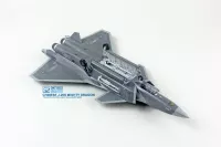 Chinese J-20S Mighty Dragon 1/72 DreamModel Chinese J-20S Mighty Dragon 1/72 DreamModel